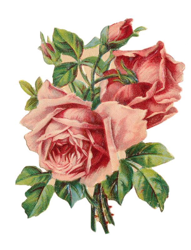 Розы в винтажном стиле